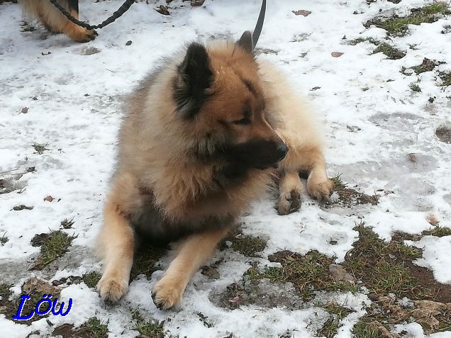 24.1.2020 - Dwix auf der Nemecek Hütte